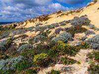 Helle Sandsteinwand mit Büschen und Wolfsmilchgewächsen davor - Gozo